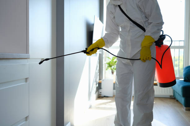 Best Toxic Mold Removal  in Salyersville, KY