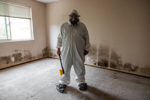 Best Mold Cleaning Services  in Salyersville, KY